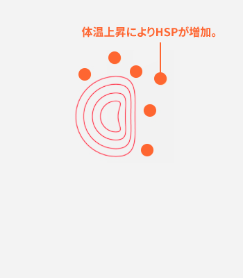 ナノミストボックスに入る