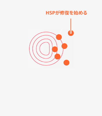 たんぱく質の構造を再構築